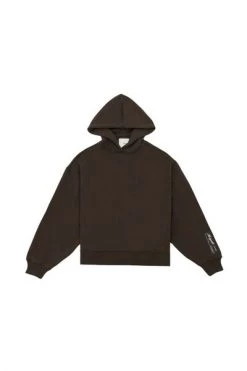 Axel Arigato Hoodies & Sweatvesten Local Hoodie Brown